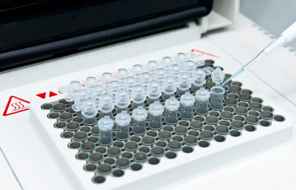 DNA 샘플 증폭을 위한 PCR 공정에서 요구되는 비접촉식 온도 모니터링 방식