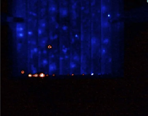 일루미네이티드 록인 기법을 활용한 태양전지의 동적 션트 이미징